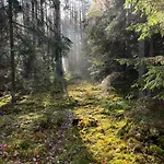 Mazury - Komfortowy Dom Z Wlasna Plaza I Pomostem