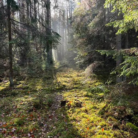 Mazury - Komfortowy Dom Z Wlasna Plaza I Pomostem